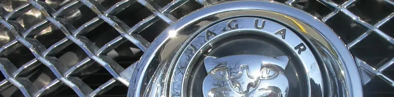 Het Jaguar-embleem op een chromen grille